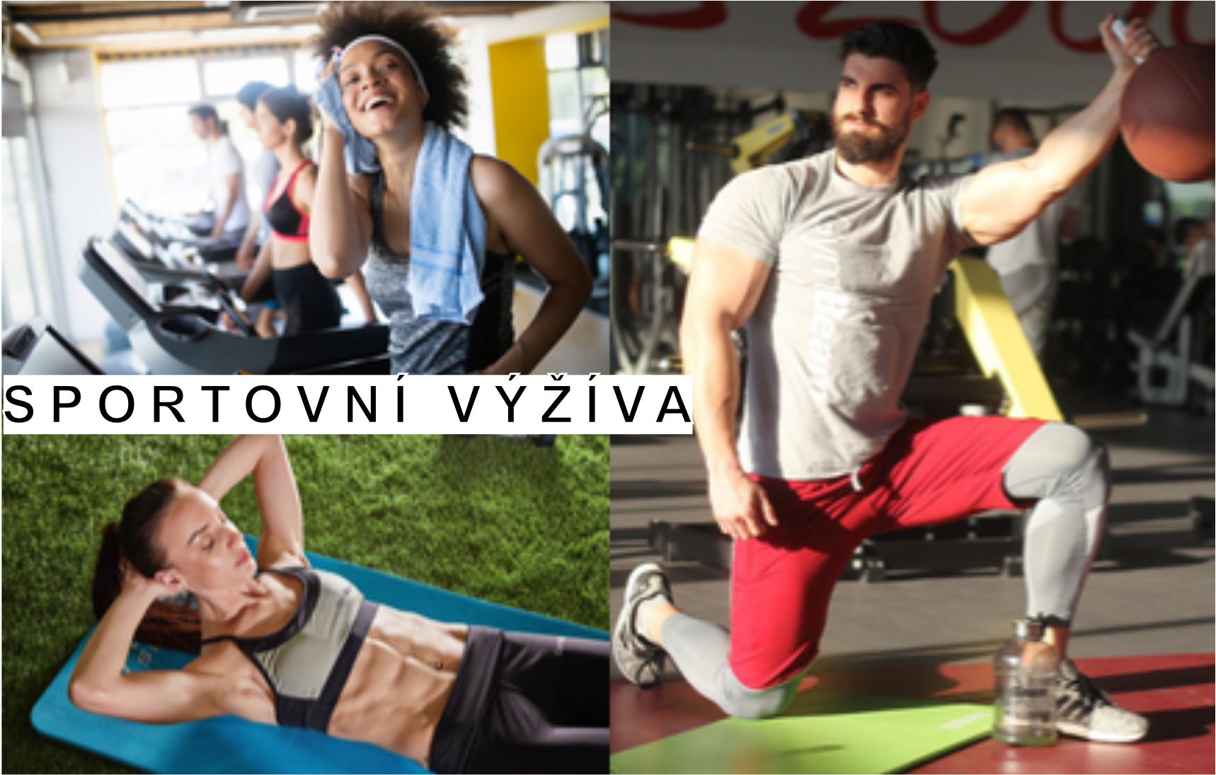 SPORTOVNÍ VÝŽIVA GYMBEAM