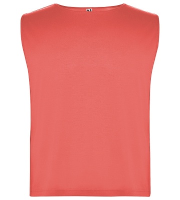 Rozlišovací dres
