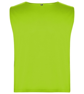 Rozlišovací dres